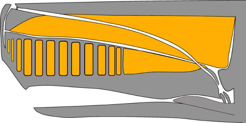 Most of the volume of the head is occupied by a spermaceti sac located above the upper jaw, a spongy mass of fibrous tissue impregnated with spermaceti (a complex composition of adipose tissue). It is believed that this substance and the organ in which it is stored perform a number of tasks at once. The bag helps sperm whales make full use of echolocation by amplifying ultrasonic waves, liquid fat provides the necessary level of buoyancy, which helps whales dive to gigantic depths and surface from them. It is known that male sperm whales collide with each other at a speed of 17 km / h, trying to demonstrate dominance, in such cases the main impact falls on the reservoir with fat. There were cases when whalers themselves became victims of sperm whales, as the latter rammed and sank ships. Most of the volume of the head is occupied by a spermaceti sac located above the upper jaw, a spongy mass of fibrous tissue impregnated with spermaceti (a complex composition of adipose tissue). It is believed that this substance and the organ in which it is stored perform a number of tasks at once. The bag helps sperm whales make full use of echolocation by amplifying ultrasonic waves, liquid fat provides the necessary level of buoyancy, which helps whales dive to gigantic depths and surface from them. It is known that male sperm whales collide with each other at a speed of 17 km / h, trying to demonstrate dominance, in such cases the main impact falls on the reservoir with fat. There were cases when whalers themselves became victims of sperm whales, as the latter rammed and sank ships.