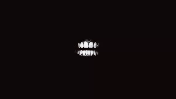 Best Swans Song