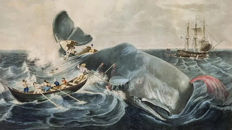 Water Magazine no.2 Sperm Whale Water Magazine no.2 Sperm Whale