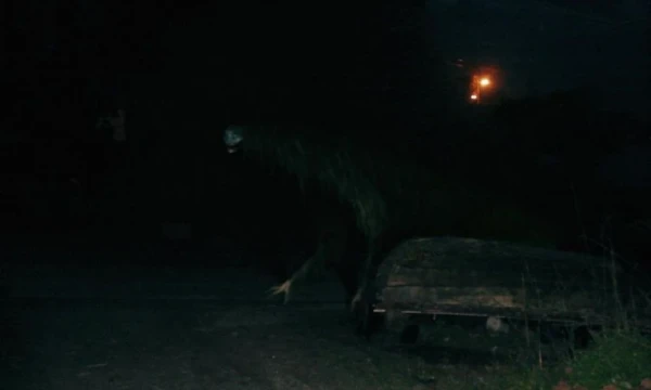 A group of four guys comes to a small village for a vacation. However, very soon the first corpse appears there, and on the same night something begins to hunt teenagers.