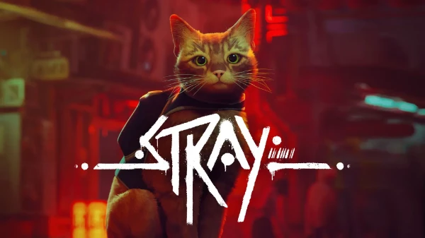 A test of knowledge of the Stray game. In this test, both aspects of the gameplay and part of the plot will be touched upon. 
