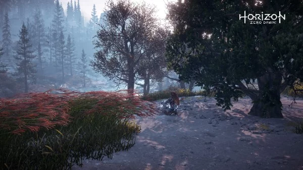 A couple of years ago, when I was playing this amazing game, I just didn't get out of photo mode and took a lot of beautiful pictures. I've been through the game for a long time, but the pictures are 