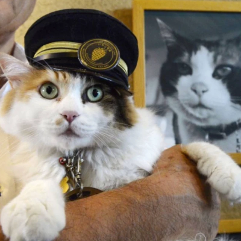 Dear stationmaster Dear stationmaster