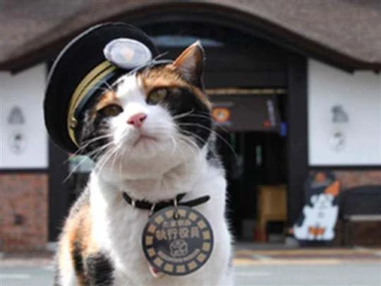 Dear stationmaster Dear stationmaster