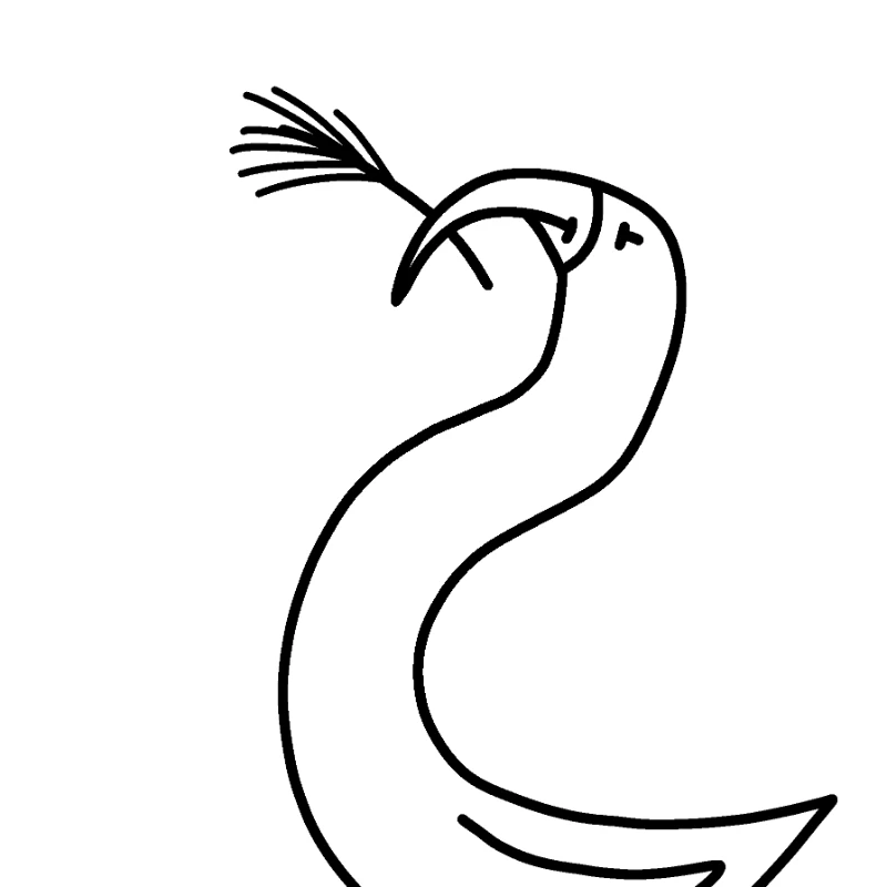 Did you now... I really like draw birds Did you now... I really like draw birds