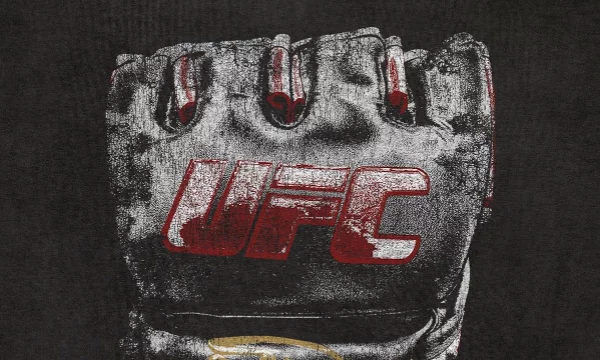 Dear players, you will have to choose a fighter who could theoretically defeat all the proposed opponents in the UFC heavyweight division at its peak.