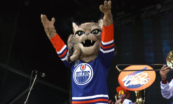 I suggest you choose the best mascot among the NHL clubs! This list contains adorable little animals that represent your favorite teams.