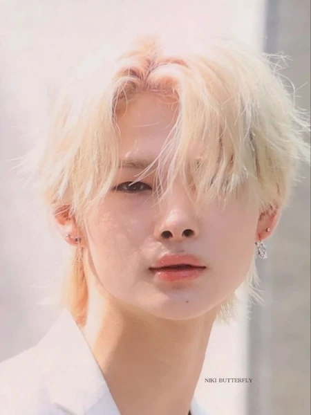 Choose yout favorite maknae. Good luck!
