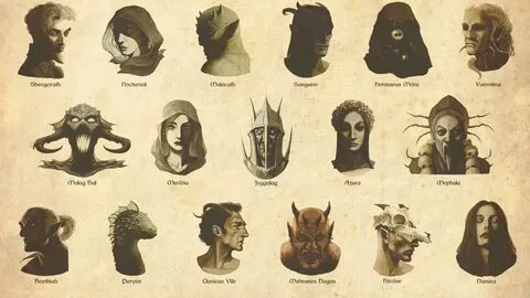 Decide which Daedra you are most attracted to, and which ones you would prefer not to meet at all.