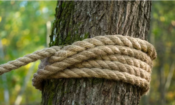 You were caught and tied to a tree, and there are a lot of bandits nearby who want to kill you..
Your task is to escape from captivity and not get caught by them...