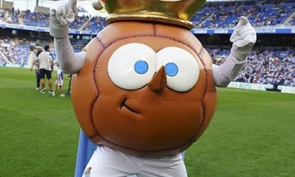 There are different mascots from different parts of the world and leagues, from birds to predators - choose the best one!