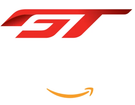 Choose the best GT group racing car. The test shows models that have competed in endurance races (Le Mans, Daytona, Sebring, and so on) from 1994 to the present day.