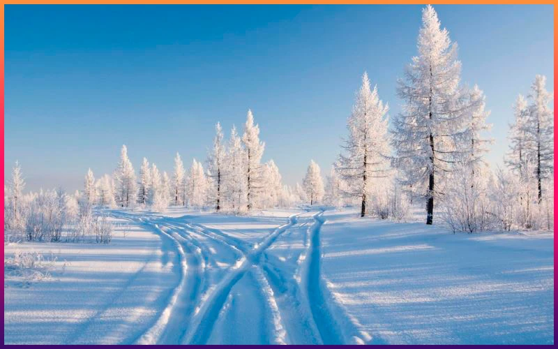 What is your favorite season of the year? What is your favorite season of the year?