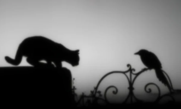 Do you want to know which mystical animal looks like you? take this test and determine which animal fully reflects your essence.