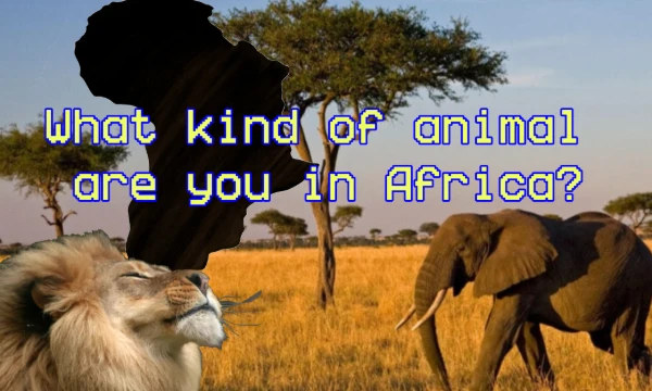 Africa is an amazing continent that boasts a variety of flora and fauna. In this test, you will find out which animal from this continent looks more like you!