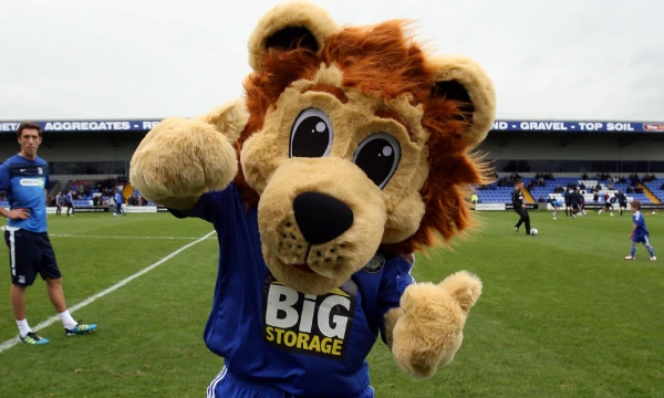 There are different mascots from different parts of the world and leagues, from birds to predators - choose the best one!
