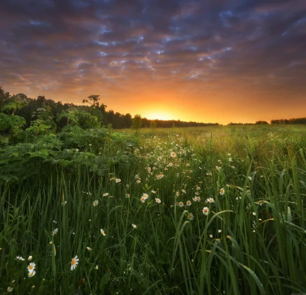 Summer is coming soon, which means that you can finally take a break from studying and do something interesting, but what is the most interesting activity? This test will help you find out. 