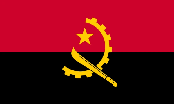 The African continent is quite interesting. I suggest you choose the best flag of Africa!