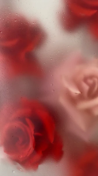 There are a million beautiful roses in the world, so I tried to collect the most beautiful pictures of roses (+interesting facts). Enjoy passing the test!