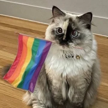 Don't know your orientation? Take this test and you will understand! 🏳🌈