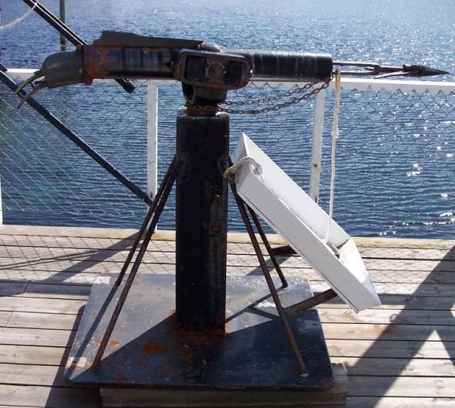A harpoon gun. Her invention made it possible to start mass fishing for striped whales A harpoon gun. Her invention made it possible to start mass fishing for striped whales