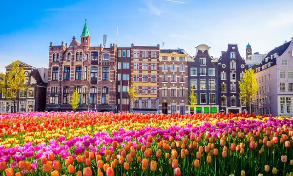 It is a country in northwestern Europe known for its low-lying lands, canals, windmills, and tulip fields.