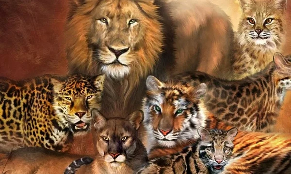 There is a wildcat inside everyone. She decides how to react to pain, when to attack, and when to hide. Find out what it's like for you.