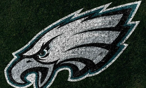 NFL is the most popular sport league in USA, it has 32 brave teams who is going to win the Superbowl.