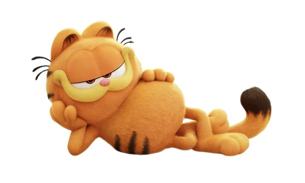 We all love cats, so I decided to do a test for the best cat. I took candidates from movies, cartoons, video games, etc.