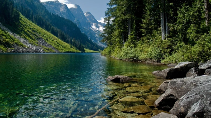 A river A river
