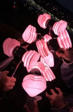Fandom: army, stay, blink. once, carat, moa, engene, neverland, forever, my, the b, universe, exo-l, revelove, ikonic, vip, daileee, midzy, moomoo, etc.