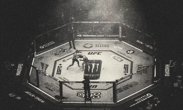 Dear players, you will have to choose a fighter who could theoretically defeat all the proposed opponents in the UFC heavyweight division at its peak.