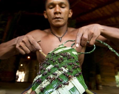 The test presents the most amazing traditions, rituals and holidays, you will have to choose the most interesting and unusual 