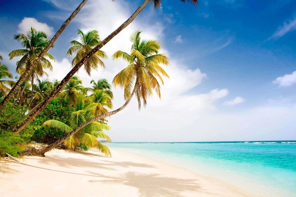 In this test you will have to guess 15 flags of island states.