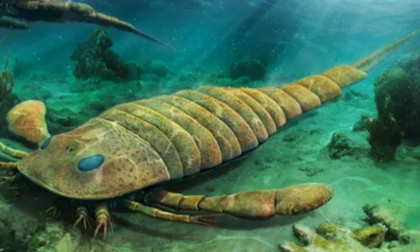 There are many tests about the Mesozoic, but there are so few tests about the Paleozoic, I decided to fix this and create a Paleozoic knowledge test, good luck passing!
