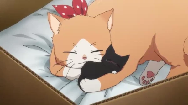 Screenshots from various anime are given. You need to guess which anime they are from. The difficulty level is average. Some screenshots from the new anime are present, so be careful.