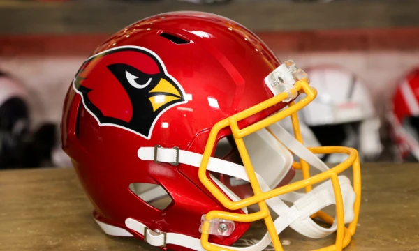 There are 32 teams and their helmets in this test, in all colors and combinations. Some helmets have unique patterns rather than team logos. I suggest you choose the best one!
