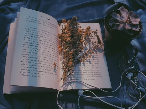 I will try to find a book that is similar to your personality/aesthetics. (sorry if something is wrong, this is the first time I've created a test<3). Enjoy your passage!