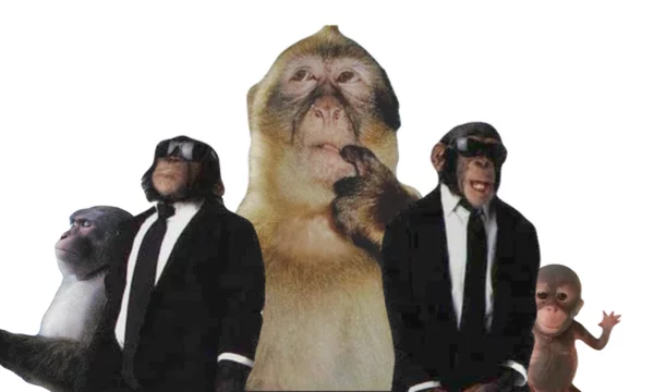 Forget about boring personality type tests! My scientifically based test will determine how much the spirit of a real monkey sits in you.