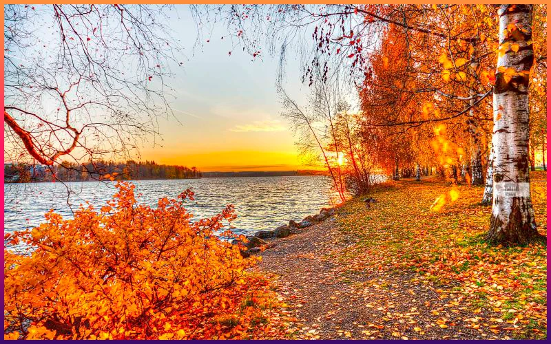 What is your favorite season of the year? What is your favorite season of the year?