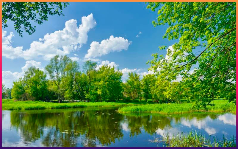 What is your favorite season of the year? What is your favorite season of the year?