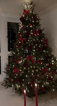 Choose a Christmas tree that you would like to see at home.