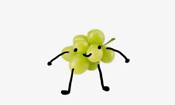 the easiest test, pick your fav fruit. be respectful to other fruits, google and try the ones you don't know. love you guys from the heart of my bottom, therealapple