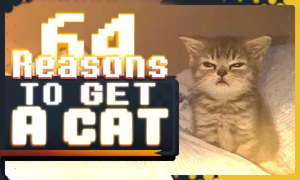 Sometimes as a joke, sometimes words as a fact, but the only irrefutable and indisputable fact is that you need to get a cat. The test presents the characteristics of cats from the author and sciences