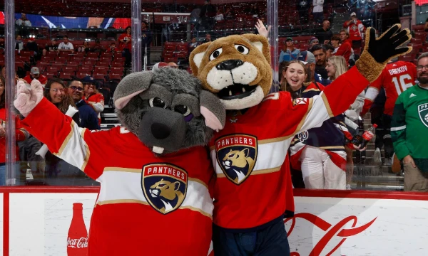 I suggest you choose the best mascot among the NHL clubs! This list contains adorable little animals that represent your favorite teams.