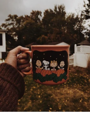 What kind of mug would you like to buy for yourself this fall?