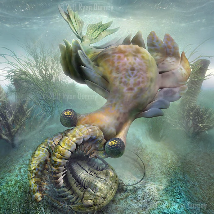Water magazine No. 19 Anomalocaris Water magazine No. 19 Anomalocaris