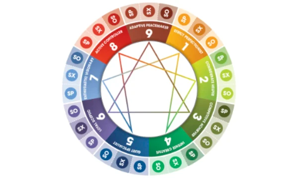 After passing the test, you will be able to determine which of the 27 subtypes of the 9 types of enneagram is suitable for you. (The test does not claim to be one hundred percent accurate) 