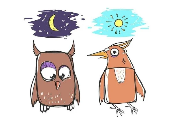 The chronotype test will help you determine whether you are a "lark" or an "owl" and how deeply ingrained this quality is in you.