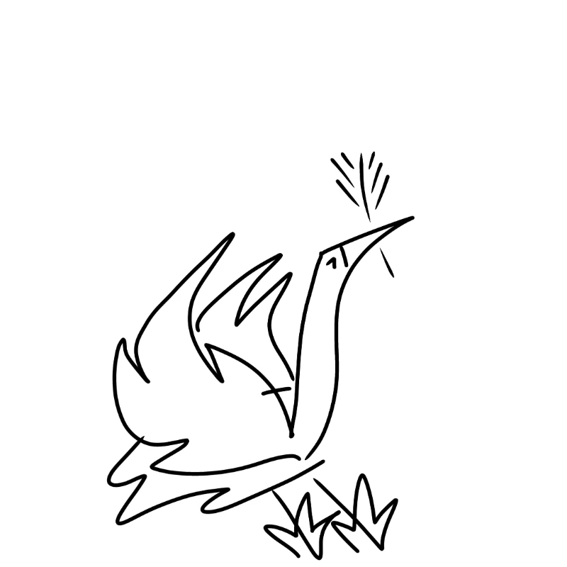 Did you now... I really like draw birds Did you now... I really like draw birds